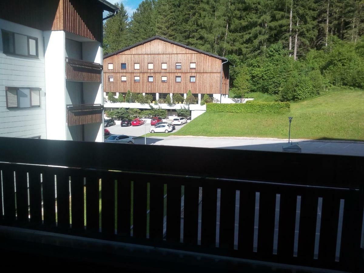 Apartment Fewo Irdning Pichlarn Aigen im Ennstal Exterior foto